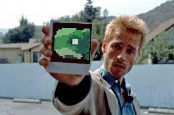 #icturtles #nfts #icp #missing #dfinity #nftcollectibles #web3 