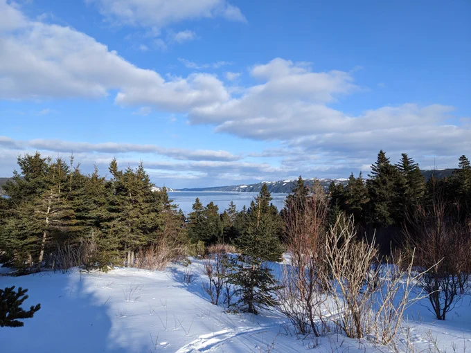 Smith Sound through the trees.