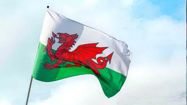 Happy St David's Day