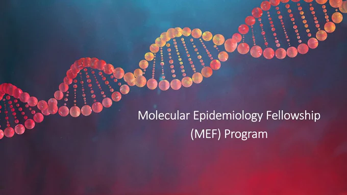 This is an image of DNA, made of two linked strands that coil around each other, creating a double helix shape, with text saying, ‘Molecular Epidemiology Fellowship (MEF) Program.’  The Molecular Epidemiology Fellowship program is the name of a new CDC fellowship that trains laboratory scientists with experience in generating or analyzing genomic data and bioinformaticians. 
