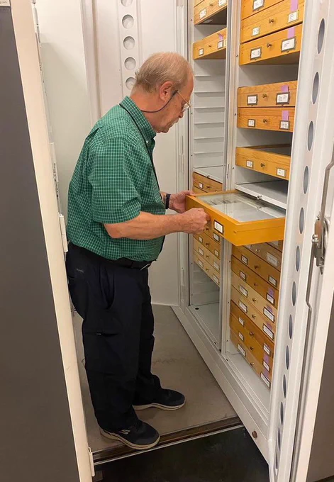 Course instructor, David Furth pulling out a drawer of specimens at the 2022 workshop.