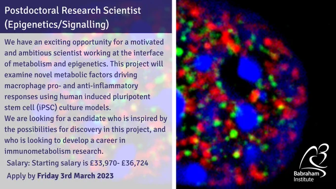 Postdoctoral Research Scientist (Epigenetics/Signalling) Starting salary is £33,970 per annum to £36,724 per annum
