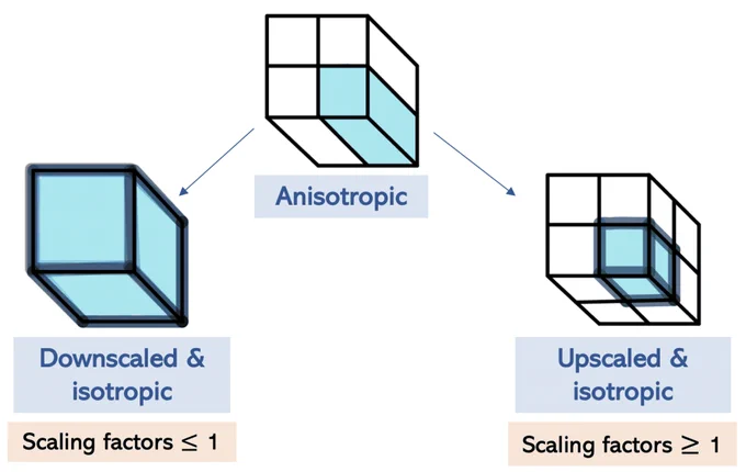 The difference between up- and downscaling an anisotropic image.