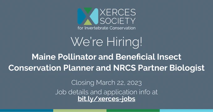We're hiring