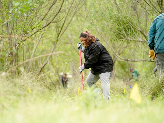 a student volunteer, working outside, with a forest in the back- and fore-ground 