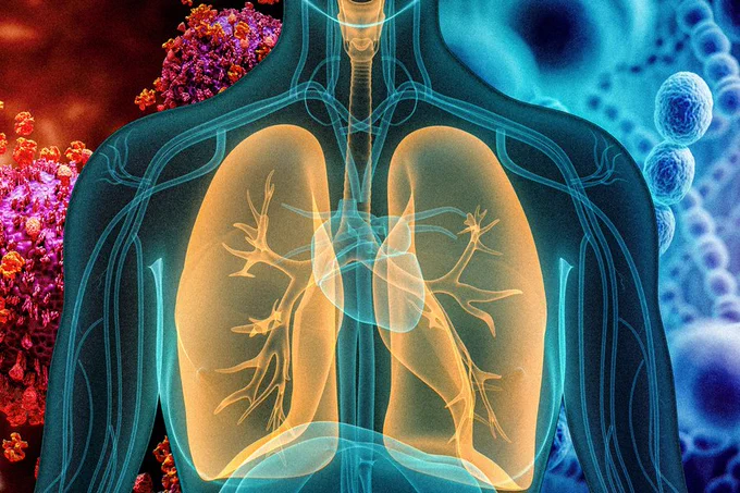 Illustration of lungs and heart in a transparent body against a background of viruses on one side and bacteria on the other