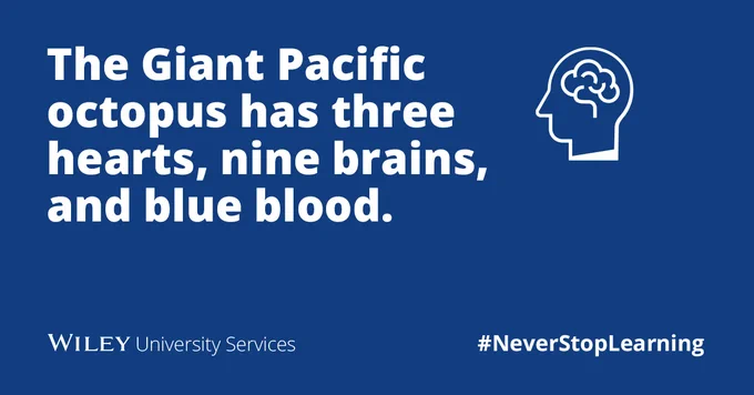 The Giant Pacific octopus has three hearts, nine brains, and blue blood. 