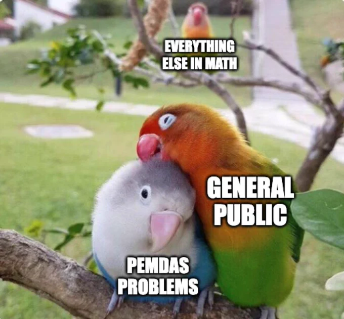 Two birds touching each other labeled "General public" and "PEMDAS problems" and one bird labeled "Everything else in math" in the distance looking at the two birds.