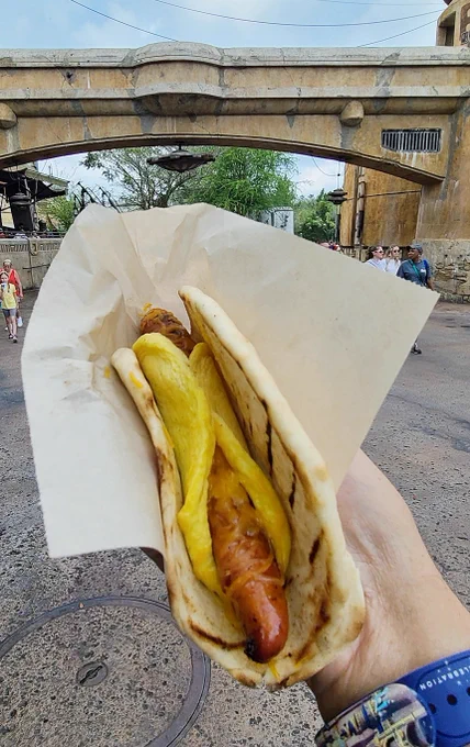 Morning Ronto Wrap from Star Wars Galaxy's Edge 
