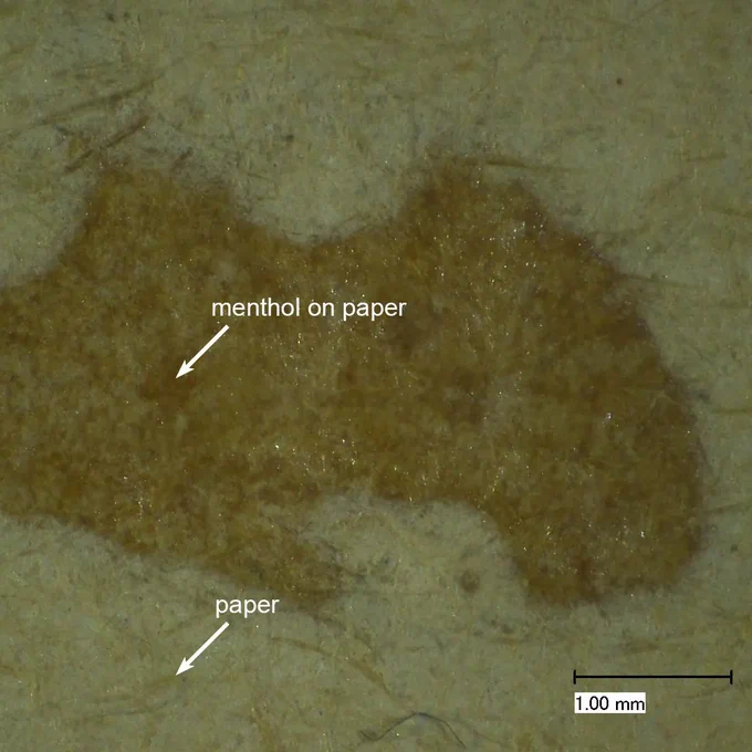 Macro photo of a paper with a darker waxy looking stain. This is menthol.
