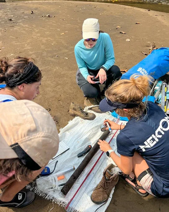 The team studying a sediment sample. 