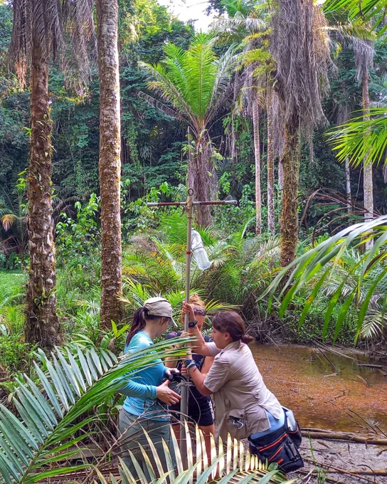 The team taking a sediment sample from a small body of water in the rainforest. 