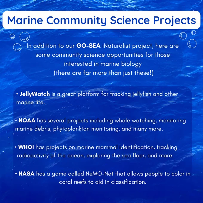 A list of marine community science opportunities including: JellyWatch, NOAA, WHOI, and NASA’s NeMO-Net game