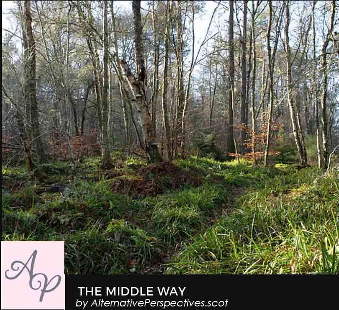 A lush woodland scene with great woodrush at ground level and bare trees in the background.  A small path runs through the scene.  Beneath the photograph is the text The Middle Way by AlternativePerspectives.scot