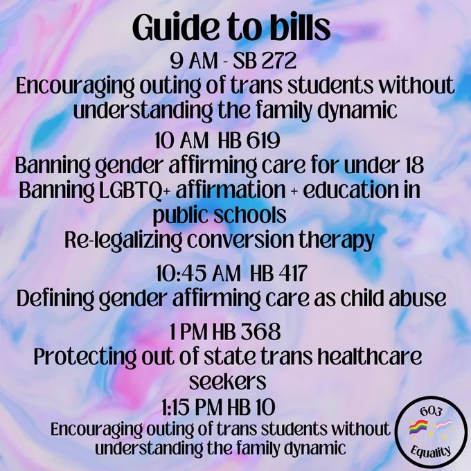 On a tie-dye type background of pink-ish purple, blue, and white, bold black text at the top reads, "Guide to bills." Below that reads "9 AM- SB 272 Encouraging outing of trans students without understanding the family dynamic. 10 AM HB 619 Banning gender affirming care for under 18, Banning LGBTQ  affirmation   education in public schools, Re-legalizing conversion therapy. 10:45 AM HB 417 Defining gender affirming care as child abuse. 1 PM HB 368 Protecting out of state trans healthcare seekers. 1:15 PM HB 10 Encouraging outing of trans students without understanding the family dynamic." In the bottom right appears the 603 Equality logo. 
