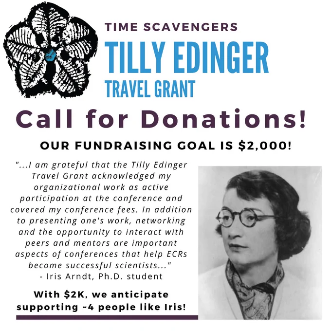 Time Scavengers Tilly Edinger Travel Grant. Call for Donations! Our fundraising goal is $2k. A quote from Iris Arndt's blog about how grateful Iris is for receiving the grant. Monochromatic blastoid with foraminifera in upper left, image of Tilly in lower right.
