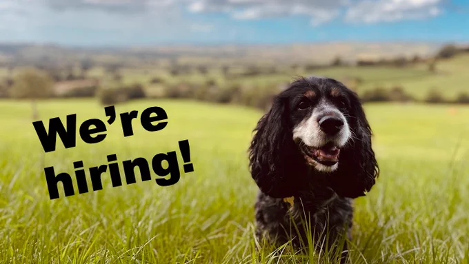 A black, white and tan Cocker Spaniel is sitting in a lush green field with his tongue poking out, looking towards the camera. Bold, black text to the left of the image reads "We're hiring!"