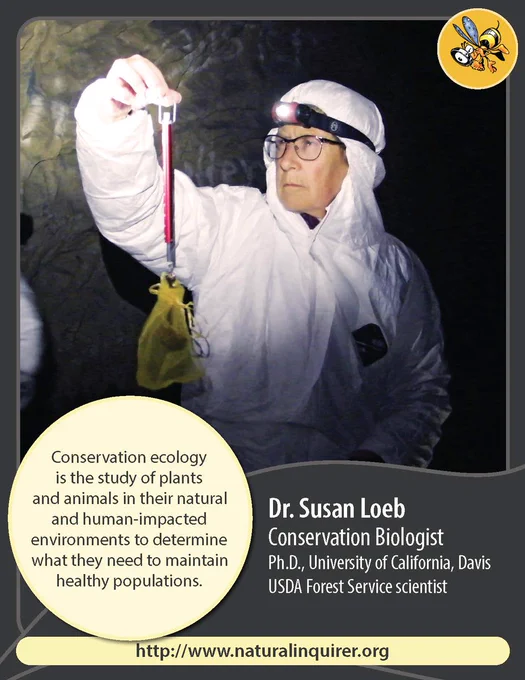 Dr. Susan Loeb wears a head-to-toe white suit and a headlamp while holding a bag with a bat in it. She appears to be in a cave.