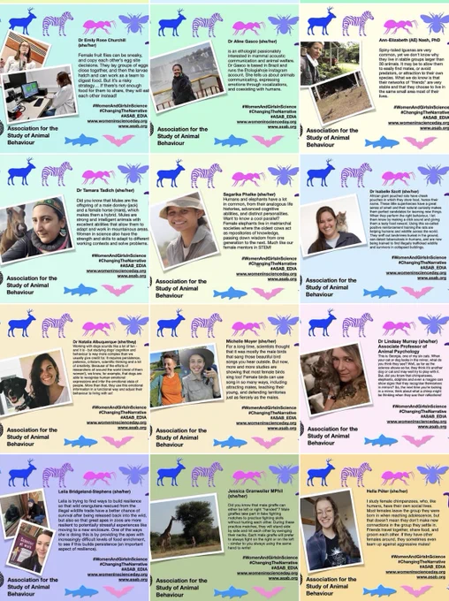 A photo montage of some of the #WomenAndGirlsInScience #ASAB_EDIA campaign