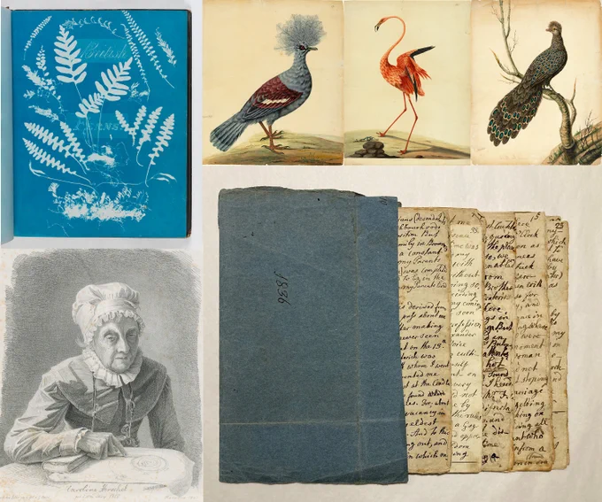 A collection of Caroline Herschel, Sarah Stone and Anna Atkins work. Including:
Caroline Herschels memoirs dated 1836. 
Paintings of species by Sarah Stone.
Cyanotypes of ferns by Anna Atkins.