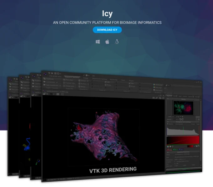 
Icy, an open community platform for bioimage informatics