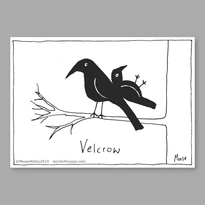 Velcrow - Cartoon drawing by Moose Allain of two crows on a branch, one crow seems to be stuck to the other.