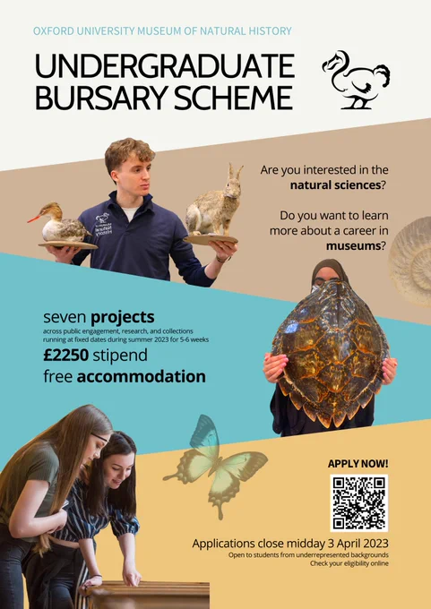 Text says: Undergraduate bursary scheme. Are you interested in the natural sciences? Do you want to learn more about a career in museums? Seven projects across public engagement, research and collections running at fixed dates during summer 2023 for 5-6 weeks. £2250 stipend and free accommodation. Applications close midday April 3. Open to students from underrepresented backgrounds. Check you eligibility online.