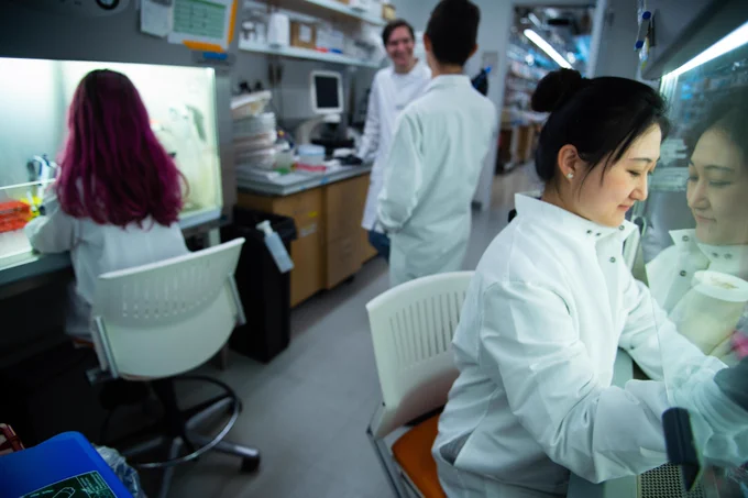 researchers working in a lab