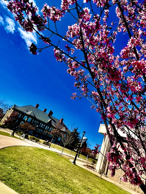 Springtime is coming to campus!
