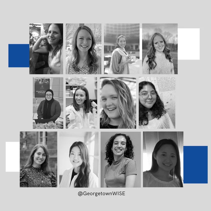 1st photo ID: black & white photo collage of 12 women in the WISE board with light grey background.
