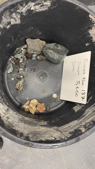 The catch from an Agassiz trawl, including stones and starfish