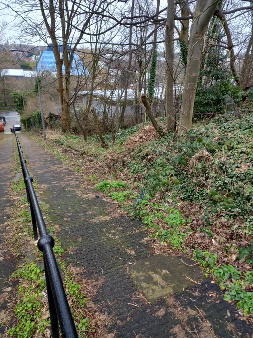 Lark Hill rise before