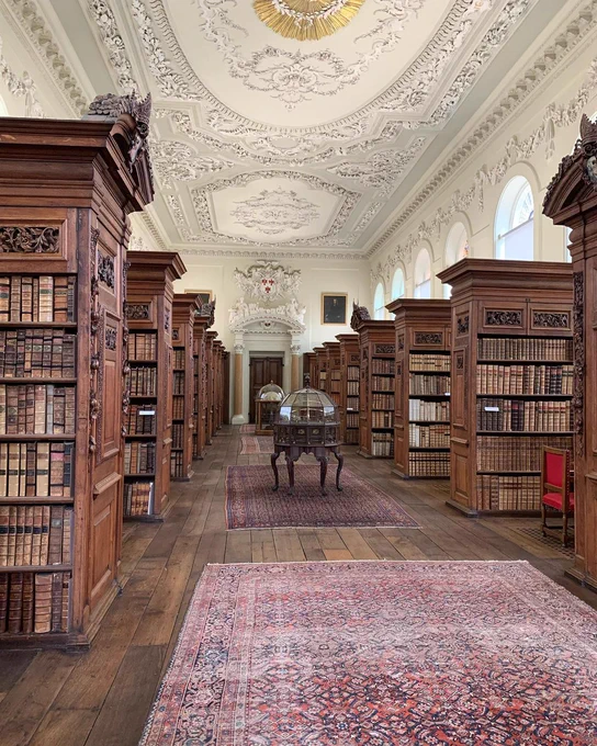 View of the library with bookshelves on both the right and left hand side. In the middle can be seen rugs with bespoke circular book storage spaces. 