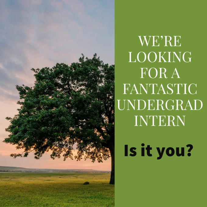 Oak tree at sunset with caption "We're looking for a fantastic undergrad intern. Is it you?"