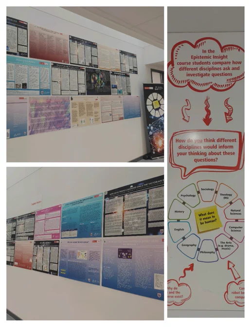 3 part photo, showing large poster boards of academic posters.