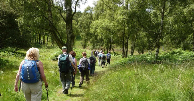 Group of walkers