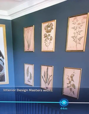 image shows a screen shot from the show Interior Design Masters of 6 floral illustrations n a wall