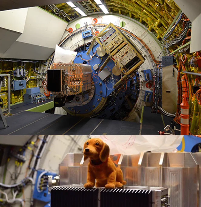 The top panel of this image shows SOFIA's FIFI-LS spectrometer. The bottom panel shows a toy dog sitting on FIFI-LS. 