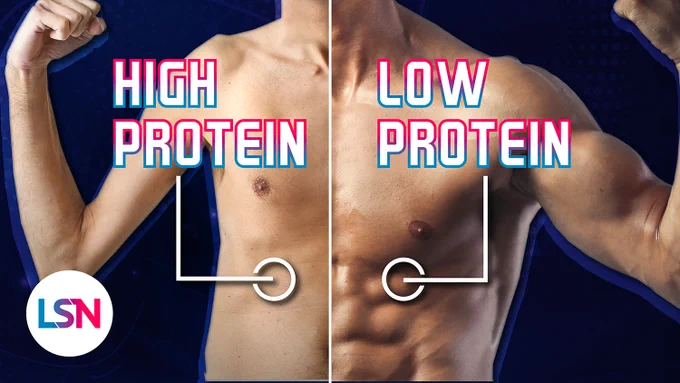 Does more protein = less muscle?