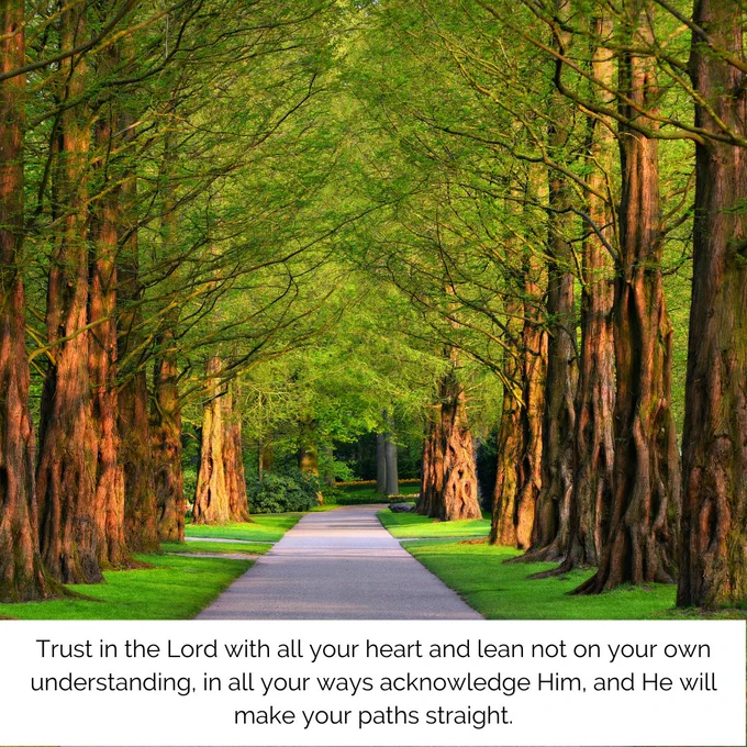 Trust in the Lord with all your heart and lean not on your own understanding, in all your ways acknowledge Him, and He will make your paths straight.