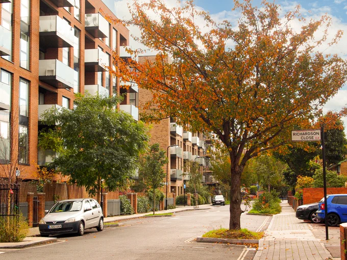 A image showing trees in a urban residential setting