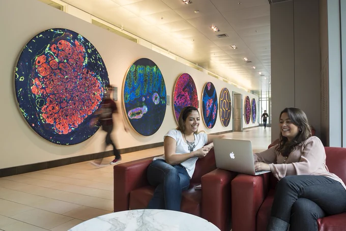Two people sitting, looking at a laptop in the Koch building hallway.