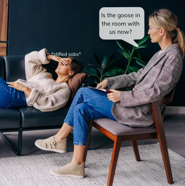 the therapist is concerned, yet supportive and validating of her patient's emotional journey. She asks "is the goose in the room with us now?" The patient is quietly crying. She is brave to be so vulnerable.  