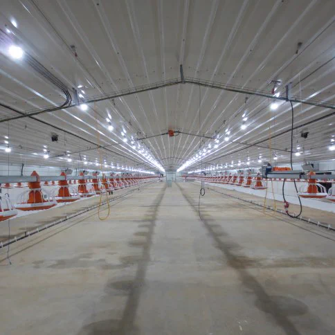 Agrotop's chicken houses are designed specifically for extreme weather conditions