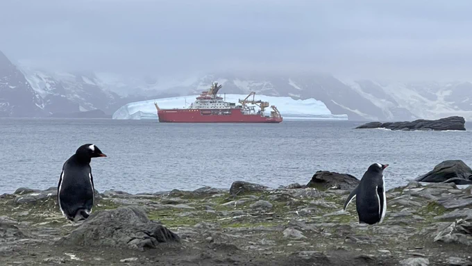 The RRS Sir David Attenborough in the distance with gentoo penguins in the foreground