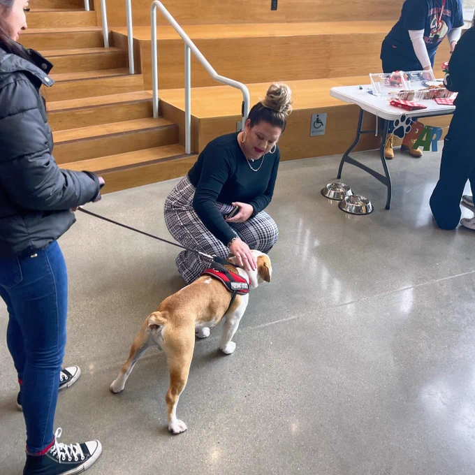 Staff member crouching to pet the live mascot dog.