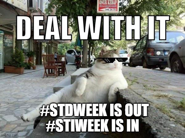 A "deal with it" meme featuring a cat lounging on a curbside. The cat is wearing superimposed sunshades.
