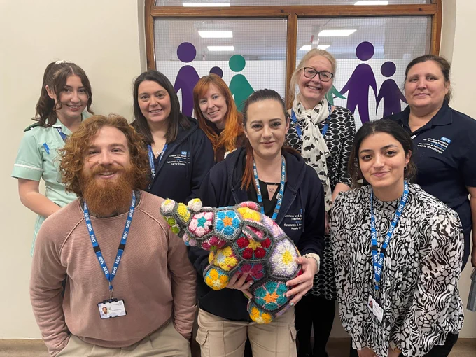 The research team at DBTH representing the BaBi-D project team along with their mascot, a research rhino.
