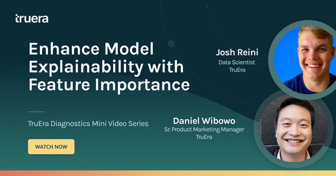 Feature Importance and its relationship to Explainable AI, a short video 