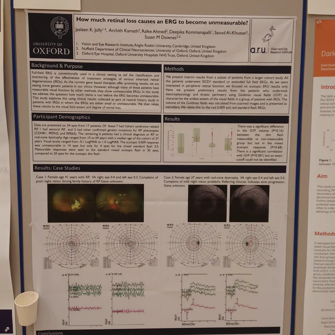 Picture of scientific poster mounted on board. Text is too small to read.
